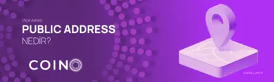 Public Adress (Açık Adres) Nedir?